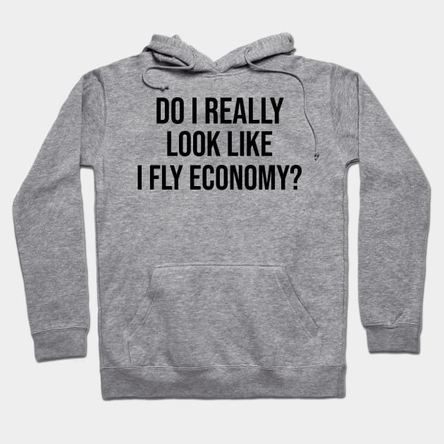Do I Really Look Like I Fly Economy Hoodie by Joshua Designs